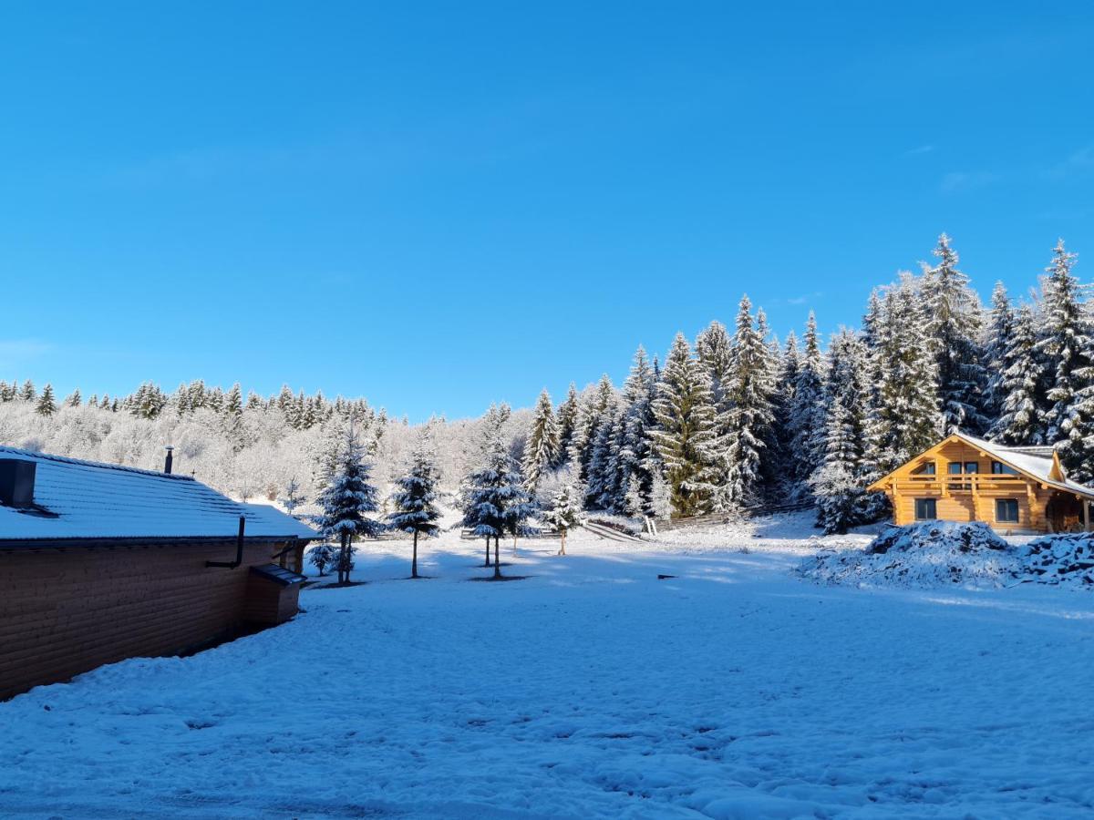 Harghita Log Houses 이즈보아레 외부 사진